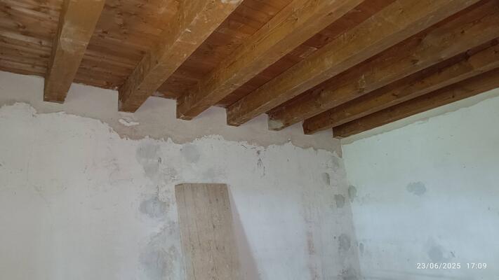 Edifico storico nel bosco — fotografia 5